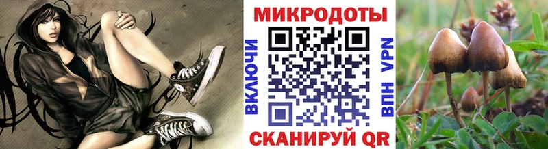 OMG рабочий сайт  Чегем  Галлюциногенные грибы Magic Shrooms 
